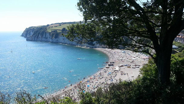 Beer Beach in the Summer - The Folletts at Beer Self Catering Cottages in Beer Devon